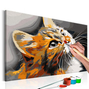 Paint By Numbers Kit - Red Cat