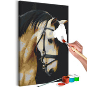 Paint By Numbers Kit - Horse Portrait