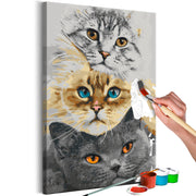 Paint By Numbers Kit - Cat's Trio