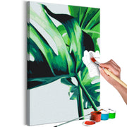 Paint By Numbers Kit - Monstera Adansonii