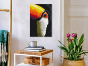 Paint By Numbers Kit - Toucan