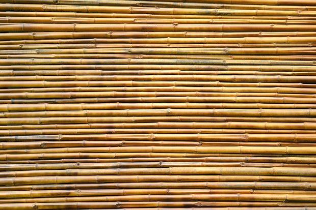 Fotótapéták Horizontal Bamboo Wall