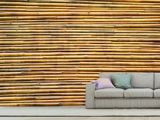 Fotótapéták Horizontal Bamboo Wall