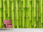 Fotótapéták Bamboo Wall