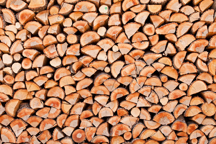 Fotótapéták Birch Stack