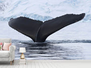 Fotótapéták The Humpback Whale