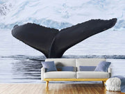 Fotótapéták The Humpback Whale