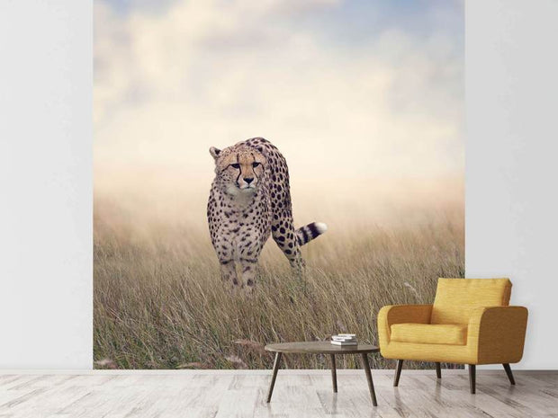 Fotótapéták The Cheetah