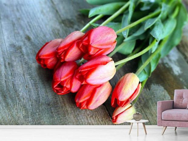 Fotótapéták The Red Tulip Bouquet