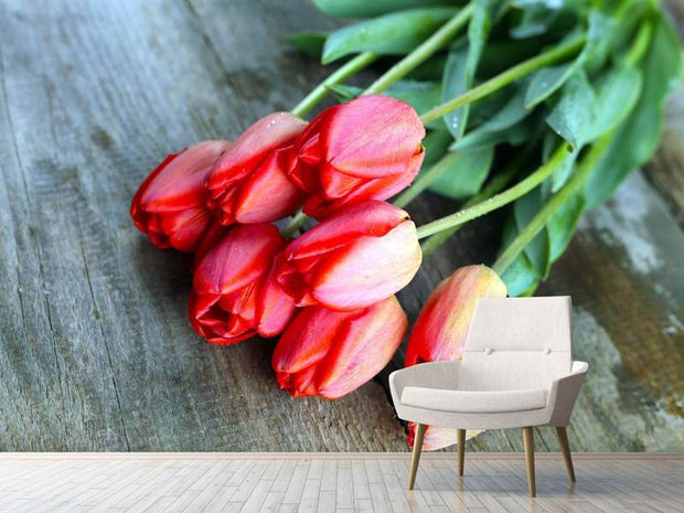 Fotótapéták The Red Tulip Bouquet