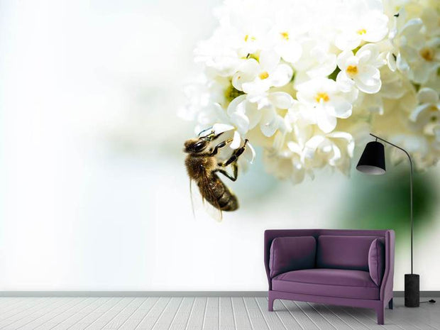 Fotótapéták The Bumblebee And The Flower