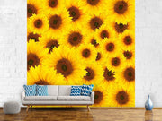 Fotótapéták A Bouquet Sunflower