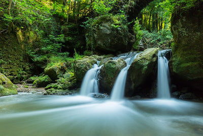 Fotótapéták Falling Water in the Wood