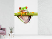 Fotótapéták Frog Acrobatics