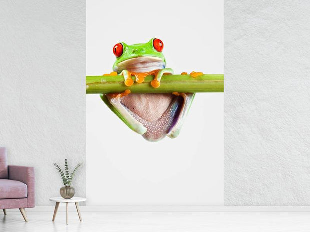 Fotótapéták Frog Acrobatics
