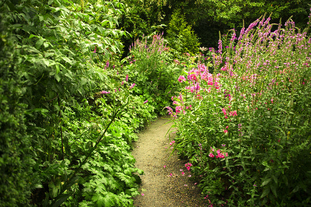 Fotótapéták Garden Path