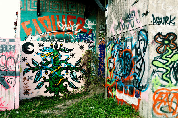 Fotótapéták Graffiti In The Backyard