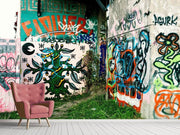 Fotótapéták Graffiti In The Backyard