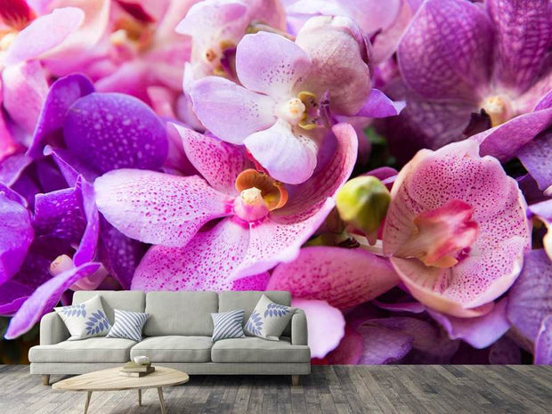 Fotótapéták Orchid Paradise