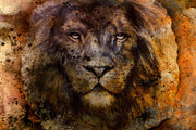 Fotótapéták Portrait Of A Lion
