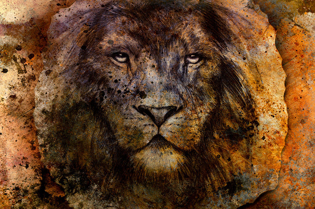 Fotótapéták Portrait Of A Lion