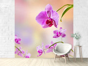 Fotótapéták Romantic Orchids