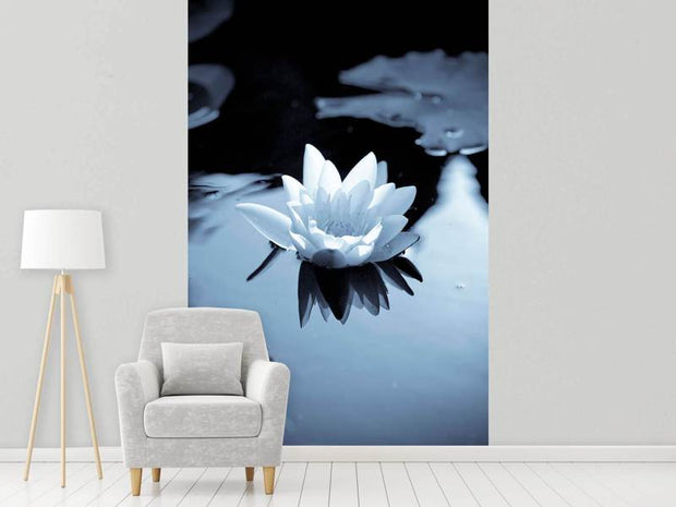 Fotótapéták Black And White Photograph Waterlily