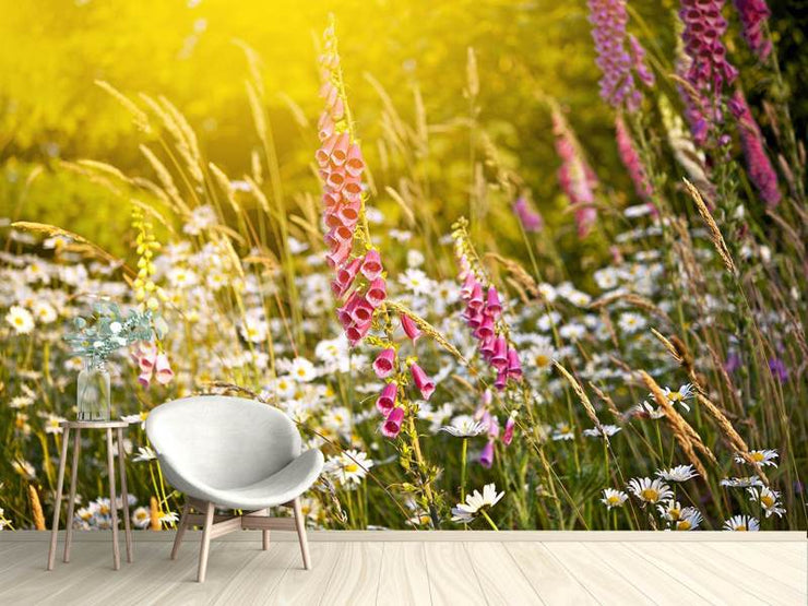 Fotótapéták Summer Flower Meadow