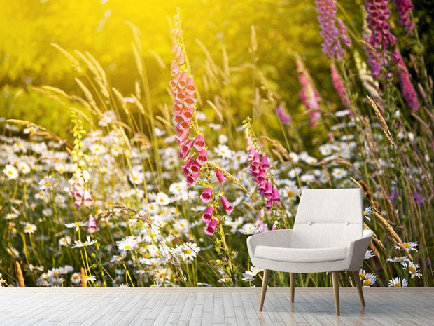 Fotótapéták Summer Flower Meadow