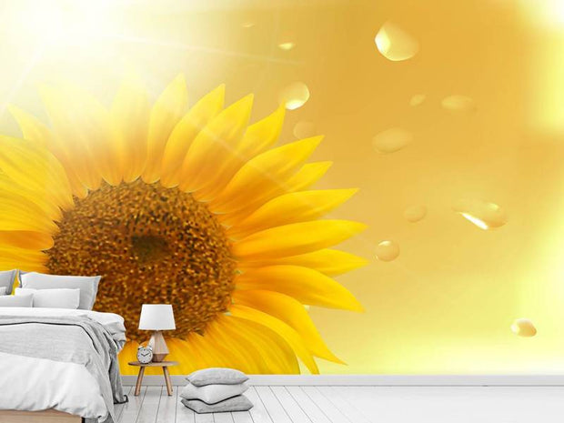 Fotótapéták Sunflower in Morning dew