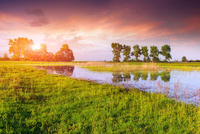 Fotótapéták Sunset On Lake