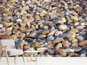 Fotótapéták Beach Stones