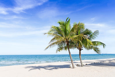 Fotótapéták Thailand Dream Beach