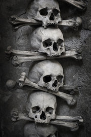 Fotótapéták Skulls