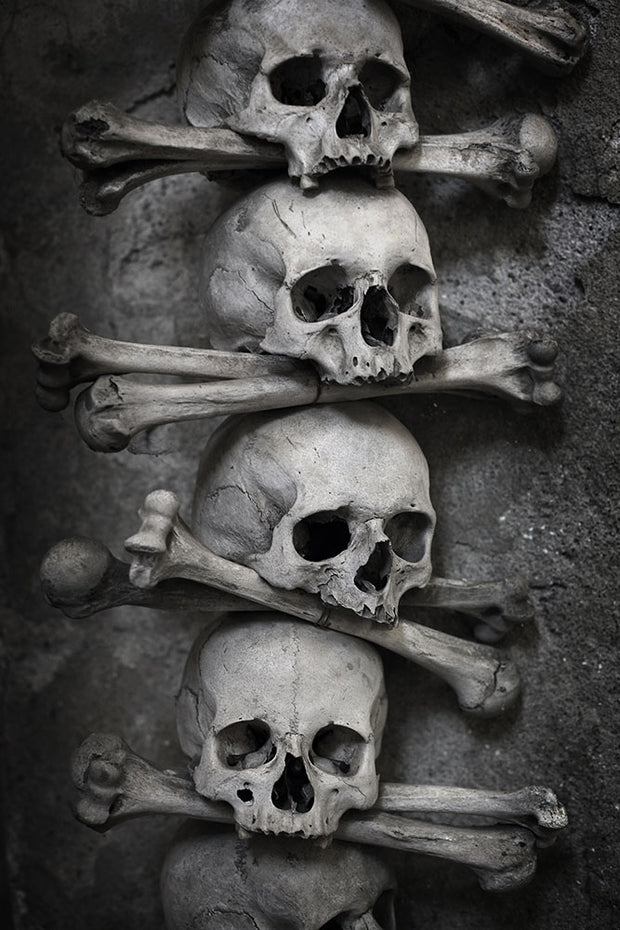 Fotótapéták Skulls