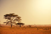 Fotótapéták Pastures In Kenya