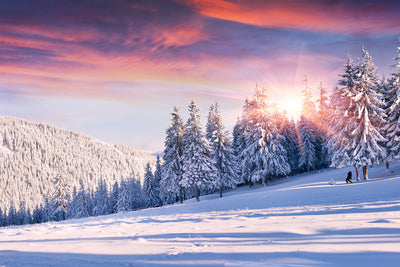 Fotótapéták Winter Landscape