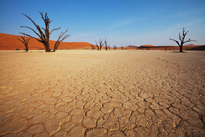 Fotótapéták Desert