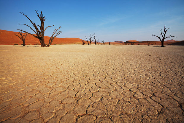 Fotótapéták Desert