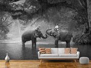 Fotótapéták Two Elephants