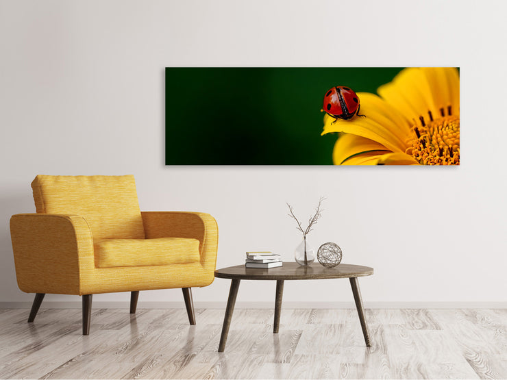 Panorámás Vászonképek Ladybug on the sunflower