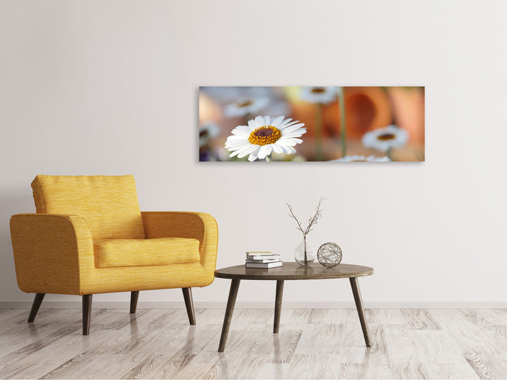 Panorámás Vászonképek Daisies XL