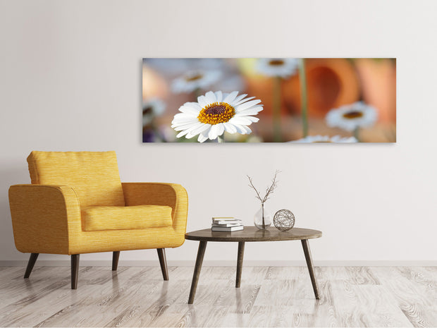 Panorámás Vászonképek Daisies XL