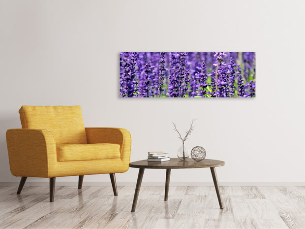 Panorámás Vászonképek XL lavender