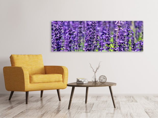 Panorámás Vászonképek XL lavender