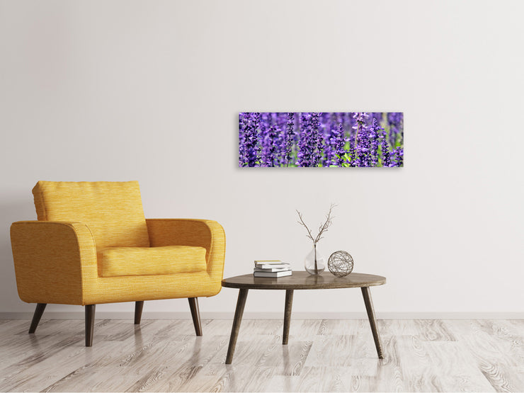 Panorámás Vászonképek XL lavender