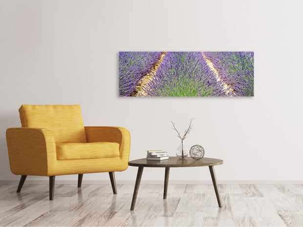 Panorámás Vászonképek The lavender field