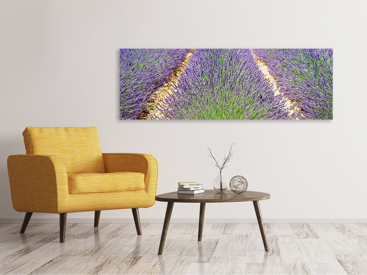 Panorámás Vászonképek The lavender field