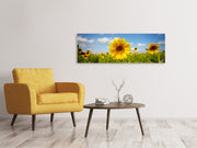 Panorámás Vászonképek Summer Sunflowers