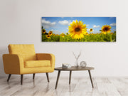 Panorámás Vászonképek Summer Sunflowers